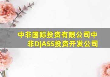 中非国际投资有限公司中非D|ASS投资开发公司